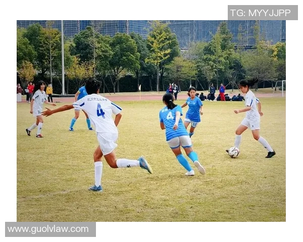 杭州篮球队战术创新引领潮流助力球队排名大幅提升