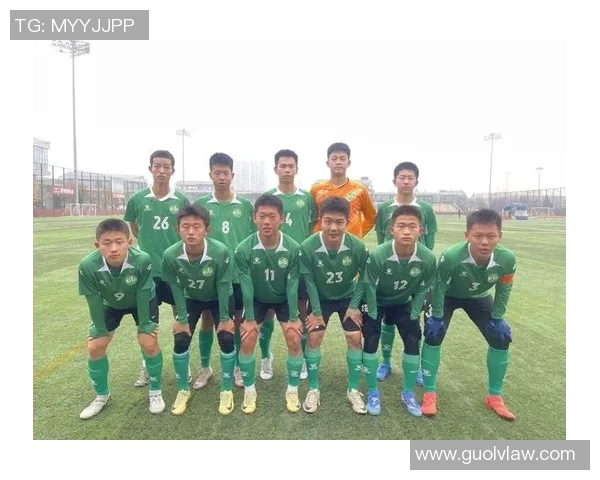 武汉足球队实力强劲荣登全国足球力量排行榜第五名