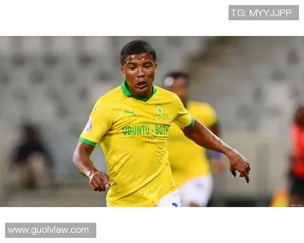 黑人前锋足球明星的崛起与影响力探讨