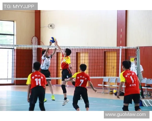 排球巨献：探秘重庆排球队的技术