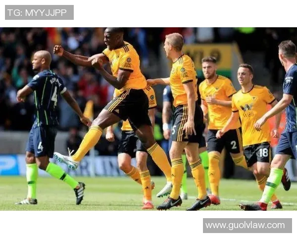 专业解读：北京飞盘队的区域防守打法