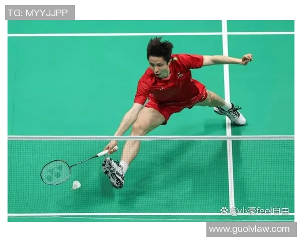 羽毛球纪实：记录深圳羽毛球队的奋斗经历_1